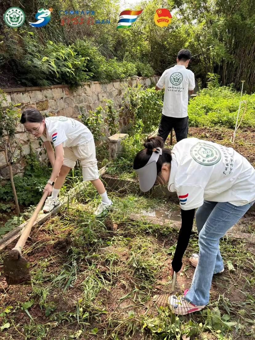 8f25f608155be68df4ae53563869e103